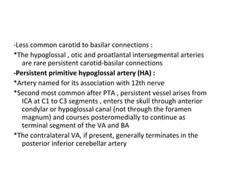 -Less common carotid to basilar connections :
*The hypoglossal , otic and proatlantal intersegmental arteries
are rare persistent carotid-basilar connections
-Persistent primitive hypoglossal artery (HA) :
*Artery named for its association with 12th nerve
*Second most common after PTA , persistent vessel arises from
ICA at C1 to C3 segments , enters the skull through anterior
condylar or hypoglossal canal (not through the foramen
magnum) and courses posteromedially to continue as
terminal segment of the VA and BA
*The contralateral VA, if present, generally terminates in the
posterior inferior cerebellar artery
 