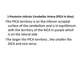 1-Posterior Inferior Cerebellar Artery (PICA in blue)
-The PICA territory is on the inferior occipital
surface of the cerebellum and is in equilibrium
with the territory of the AICA in purple which
is on the lateral side
-The larger the PICA territory , the smaller the
AICA and vice versa
 