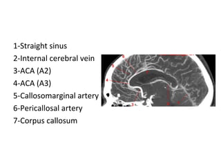 1-Straight sinus
2-Internal cerebral vein
3-ACA (A2)
4-ACA (A3)
5-Callosomarginal artery
6-Pericallosal artery
7-Corpus callosum
 
