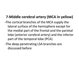 7-Middle cerebral artery (MCA in yellow)
-The cortical branches of the MCA supply the
lateral surface of the hemisphere except for
the medial part of the frontal and the parietal
lobe (anterior cerebral artery) and the inferior
part of the temporal lobe (PCA)
-The deep penetrating LSA branches are
discussed before
 