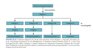 Comprehensive Overview of Acute Arterial Occlusive Disease and Limb ...