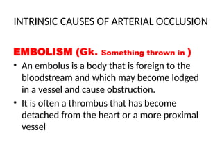 Comprehensive Overview of Acute Arterial Occlusion and Limb Ischemia ...