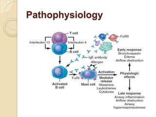 Pathophysiology
 