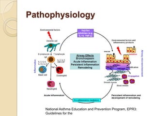 Pathophysiology




    National Asthma Education and Prevention Program, EPR3:
    Guidelines for the
 