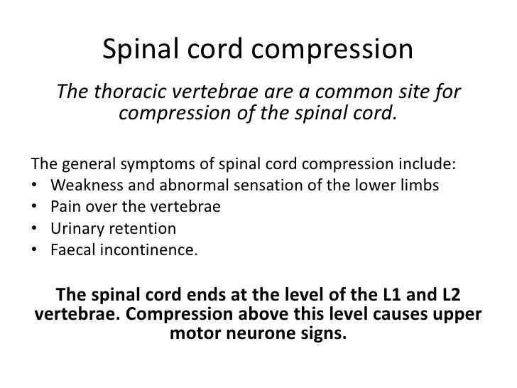 for upper back paracetamol pain pain Acute back for upper back paracetamol pain pain Acute back