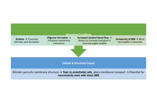 Acute bilirubin encephalopathy in neonates.pptx