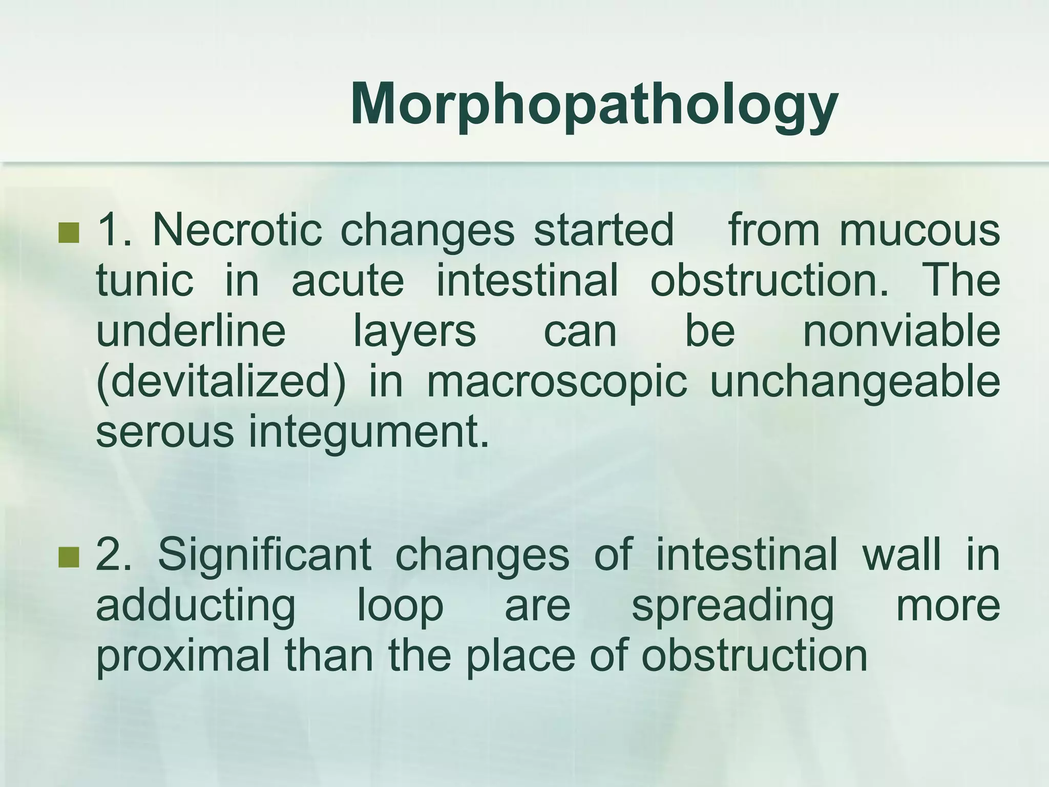Morphopathology
 1. Necrotic changes started from mucous
tunic in acute intestinal obstruction. The
underline layers can be nonviable
(devitalized) in macroscopic unchangeable
serous integument.
 2. Significant changes of intestinal wall in
adducting loop are spreading more
proximal than the place of obstruction
 