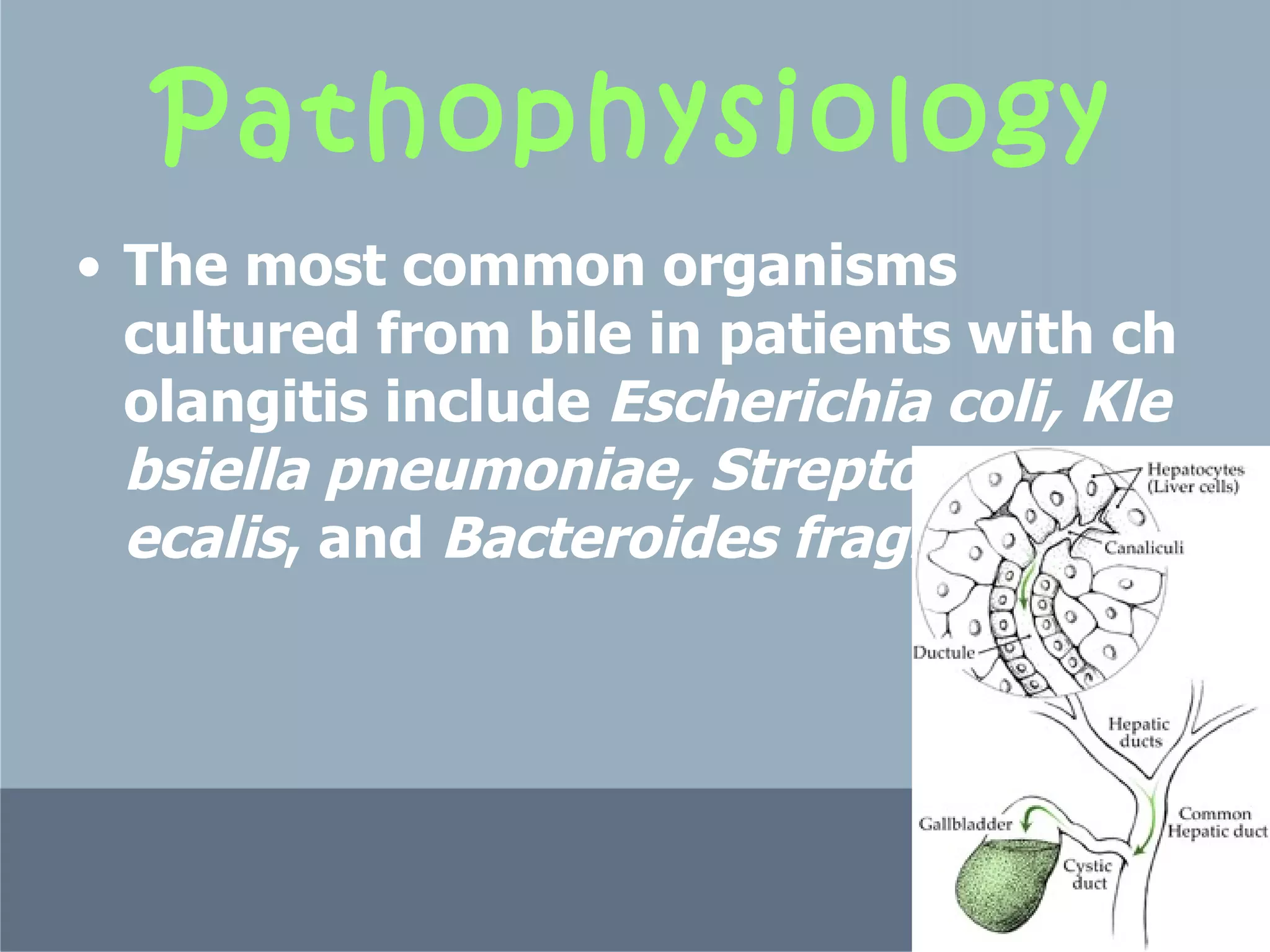 Pathophysiology The most common organisms cultured from bile in patients with cholangitis include  Escherichia coli, Klebsiella pneumoniae, Streptococcus faecalis , and  Bacteroides fragilis .  