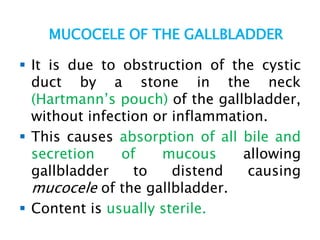 MUCOCELE OF THE GALLBLADDER
 It is due to obstruction of the cystic
duct by a stone in the neck
(Hartmann’s pouch) of the gallbladder,
without infection or inflammation.
 This causes absorption of all bile and
secretion of mucous allowing
gallbladder to distend causing
mucocele of the gallbladder.
 Content is usually sterile.
 