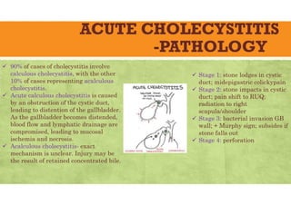 ACUTE CHOLECYSTITIS
-PATHOLOGY
 90% of cases of cholecystitis involve
calculous cholecystitis, with the other
10% of cases representing acalculous
cholecystitis.
 Acute calculous cholecystitis is caused
by an obstruction of the cystic duct,
leading to distention of the gallbladder.
As the gallbladder becomes distended,
blood flow and lymphatic drainage are
compromised, leading to mucosal
ischemia and necrosis.
 Acalculous cholecystitis- exact
mechanism is unclear. Injury may be
the result of retained concentrated bile.
 Stage 1: stone lodges in cystic
duct; midepigastric colickypain
 Stage 2: stone impacts in cystic
duct; pain shift to RUQ;
radiation to right
scapula/shoulder
 Stage 3: bacterial invasion GB
wall; + Murphy sign; subsides if
stone falls out
 Stage 4: perforation
 
