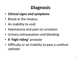 High Riding Prostate Sign Acute Cholecystitis & Cholangitis - Tilayae.pptx
