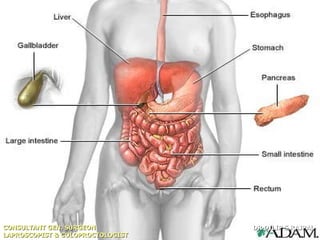 CONSULTANT GEN. SURGEON           DR DILIP S.RAJPAL
LAPROSCOPIST & COLOPROCTOLOGIST
 