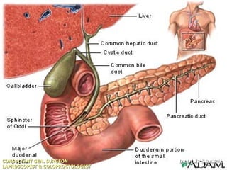 CONSULTANT GEN. SURGEON           DR DILIP S.RAJPAL
LAPROSCOPIST & COLOPROCTOLOGIST
 