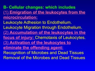 Comprehensive Overview of Inflammation: Mechanisms, Types, and Outcomes ...