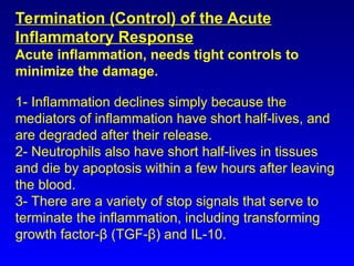 Comprehensive Overview of Inflammation: Mechanisms, Types, and Outcomes ...