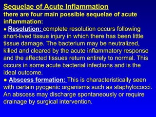 Comprehensive Overview of Inflammation: Mechanisms, Types, and Outcomes ...