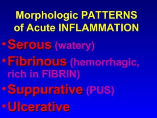 Comprehensive Overview of Inflammation: Mechanisms, Types, and Outcomes ...