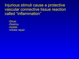 Comprehensive Overview of Inflammation: Mechanisms, Types, and Outcomes ...