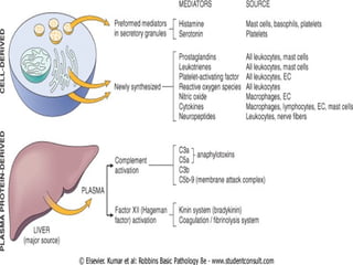 Comprehensive Overview of Inflammation: Mechanisms, Types, and Outcomes ...