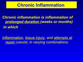 Comprehensive Overview of Inflammation: Mechanisms, Types, and Outcomes ...