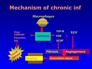 Comprehensive Overview of Inflammation: Mechanisms, Types, and Outcomes ...