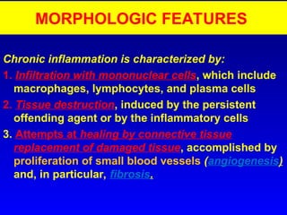 Comprehensive Overview of Inflammation: Mechanisms, Types, and Outcomes ...