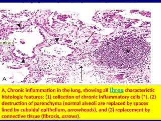 Comprehensive Overview of Inflammation: Mechanisms, Types, and Outcomes ...