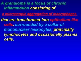 Comprehensive Overview of Inflammation: Mechanisms, Types, and Outcomes ...
