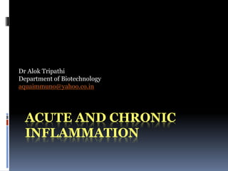 ACUTE AND CHRONIC
INFLAMMATION
Dr Alok Tripathi
Department of Biotechnology
aquaimmuno@yahoo.co.in
 