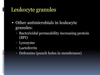 Leukocyte granules
 Other antimicrobials in leukocyte
granules:
 Bactericidal permeability increasing protein
(BPI)
 Lysozyme
 Lactoferrin
 Defensins (punch holes in membranes)
 