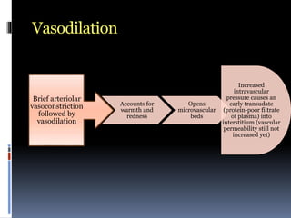 Vasodilation
Brief arteriolar
vasoconstriction
followed by
vasodilation
Accounts for
warmth and
redness
Opens
microvascular
beds
Increased
intravascular
pressure causes an
early transudate
(protein-poor filtrate
of plasma) into
interstitium (vascular
permeability still not
increased yet)
 