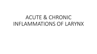 ACUTE & CHRONIC 
INFLAMMATIONS OF LARYNX 
 