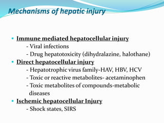 Mechanisms of hepatic injury
 Immune mediated hepatocellular injury
- Viral infections
- Drug hepatotoxicity (dihydralazine, halothane)
 Direct hepatocellular injury
- Hepatotrophic virus family-HAV, HBV, HCV
- Toxic or reactive metabolites- acetaminophen
- Toxic metabolites of compounds-metabolic
diseases
 Ischemic hepatocellular Injury
- Shock states, SIRS
 