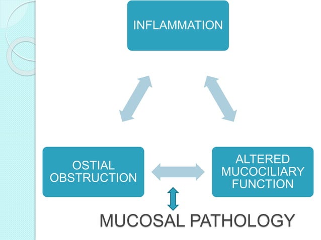 Acute Chronic Sinusitis Pptx Ear Nose And Throat Conditions