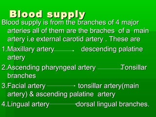 Blood supplyBlood supply
Blood supply is from the branches of 4 majorBlood supply is from the branches of 4 major
arteries all of them are the braches of a mainarteries all of them are the braches of a main
artery i.e external carotid artery . These areartery i.e external carotid artery . These are
1.Maxillary artery descending palatine1.Maxillary artery descending palatine
arteryartery
2.Ascending pharyngeal artery Tonsillar2.Ascending pharyngeal artery Tonsillar
branchesbranches
3.Facial artery tonsillar artery(main3.Facial artery tonsillar artery(main
artery) & ascending palatine arteryartery) & ascending palatine artery
4.Lingual artery dorsal lingual branches.4.Lingual artery dorsal lingual branches.
 