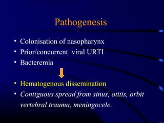 Pathogenesis
• Colonisation of nasopharynx
• Prior/concurrent viral URTI
• Bacteremia
• Hematogenous dissemination
• Contiguous spread from sinus, otitis, orbit
vertebral trauma, meningocele.
 