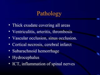 Pathology
• Thick exudate covering all areas
• Ventriculitis, arteritis, thrombosis
• Vascular occlusion, sinus occlusion.
• Cortical necrosis, cerebral infarct
• Subarachnoid hemorrhage
• Hydrocephalus
• ICT, inflammation of spinal nerves
 