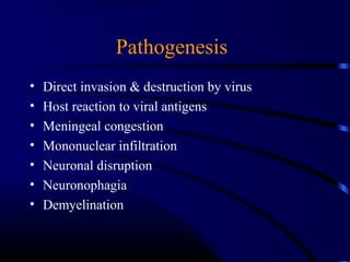 Pathogenesis
• Direct invasion & destruction by virus
• Host reaction to viral antigens
• Meningeal congestion
• Mononuclear infiltration
• Neuronal disruption
• Neuronophagia
• Demyelination
 