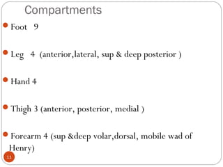 Compartments
11
Foot 9
Leg 4 (anterior,lateral, sup & deep posterior )
Hand 4
Thigh 3 (anterior, posterior, medial )
Forearm 4 (sup &deep volar,dorsal, mobile wad of
Henry)
 