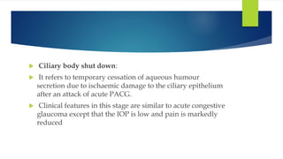  Ciliary body shut down:
 It refers to temporary cessation of aqueous humour
secretion due to ischaemic damage to the ciliary epithelium
after an attack of acute PACG.
 Clinical features in this stage are similar to acute congestive
glaucoma except that the IOP is low and pain is markedly
reduced
 
