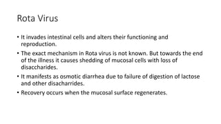 Rota Virus
• It invades intestinal cells and alters their functioning and
reproduction.
• The exact mechanism in Rota virus is not known. But towards the end
of the illness it causes shedding of mucosal cells with loss of
disaccharides.
• It manifests as osmotic diarrhea due to failure of digestion of lactose
and other disacharrides.
• Recovery occurs when the mucosal surface regenerates.
 