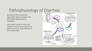 acute Diarrhea and Dehydration managment.pptx