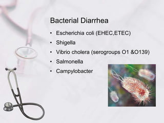 Bacterial Diarrhea
• Escherichia coli (EHEC,ETEC)
• Shigella
• Vibrio cholera (serogroups O1 &O139)
• Salmonella
• Campylobacter
 