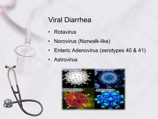 Viral Diarrhea
• Rotavirus
• Norovirus (Norwalk-like)
• Enteric Adenovirus (serotypes 40 & 41)
• Astrovirus
 