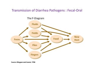 Transmission of Diarrhea Pathogens : Fecal-Oral
 