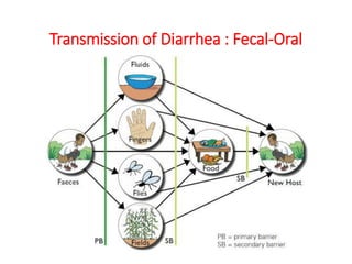 Transmission of Diarrhea : Fecal-Oral
 
