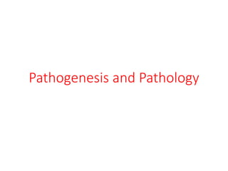 Pathogenesis and Pathology
 