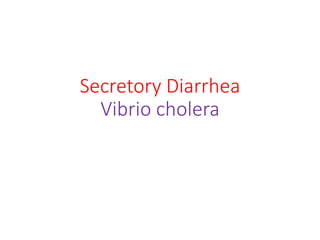 Secretory Diarrhea
Vibrio cholera
 