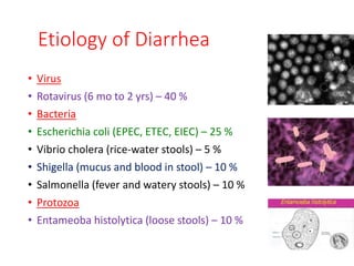 Etiology of Diarrhea
• Virus
• Rotavirus (6 mo to 2 yrs) – 40 %
• Bacteria
• Escherichia coli (EPEC, ETEC, EIEC) – 25 %
• Vibrio cholera (rice-water stools) – 5 %
• Shigella (mucus and blood in stool) – 10 %
• Salmonella (fever and watery stools) – 10 %
• Protozoa
• Entameoba histolytica (loose stools) – 10 %
 
