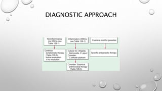 DIAGNOSTIC APPROACH
 